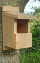 NHBS Wooden Bird Nest Box