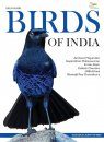 Field Guide Birds of India