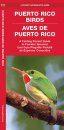 Puerto Rico Birds / Aves de Puerto Rico