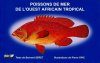 Poissons de Mer de l'Ouest Africain Tropical [Tropical Fish of the West African Sea]
