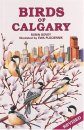 Birds of Calgary
