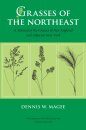 Grasses of the Northeast