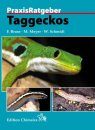 Tag-Geckos [Day Geckos]