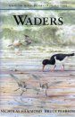 Waders: Hamlyn Bird Behaviour Guide