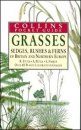 Grasses Sedges Rushes and Ferns of Britain and Northern Europe