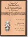 Fauna of New Zealand, No 25: Cercopidae (Insecta: Homoptera)