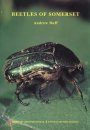 Beetles of Somerset