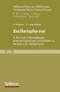 Süßwasserflora von Mitteleuropa, Bd 2/4: Bacillariophyceae 4.Teil
