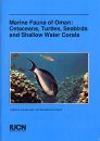 Marine Fauna of Oman: Cetaceans, Turtles, Seabirds and Shallow Water Corals
