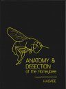 Anatomy & Dissection of the Honeybee