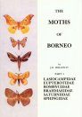 The Moths of Borneo, Part 3