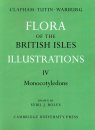 Flora of the British Isles Illustrations 4