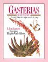 Gasterias of South Africa: Standard Edition