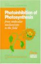 Photoinhibition of Photosynthesis: From Molecular Mechanisms to Field