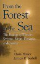 From the Forest to the Sea