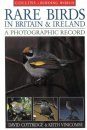 Rare Birds in Britain and Ireland: A Photographic Record