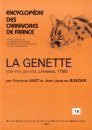 Encyclopédie des Carnivores de France, Part 16: La Genette