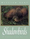Shadowbirds: A Quest for Rails