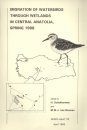 Migration of Waterbirds through Wetlands in Central Anatolia, Spring 1988