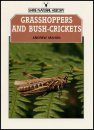 Grasshoppers and Bush Crickets of the British Isles