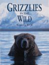Grizzlies in the Wild