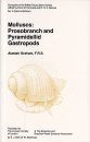 SBF Volume 2: Molluscs: Prosobranch and Pyramidellid Gastropods