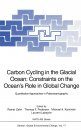 Carbon Cycling in the Glacial Ocean: Constraints on the Ocean's Role in Global Change
