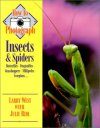 How to Photograph Insects and Spiders