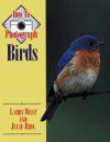 How to Photograph Birds