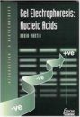 Gel Electrophoresis: Nucleic Acids