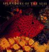 Splendours of the Seas