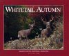 Whitetail Autumn