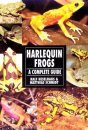 Harlequin Frogs