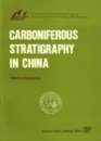 Carboniferous Stratigraphy in China