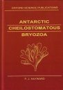 Antarctic Cheilostomatous Bryozoa