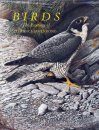 Birds: The Paintings of Terrance James Bond