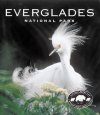 Tiny Folio: Everglades National Park