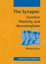 The Synapse: Function, Plasticity and Neurotrophism