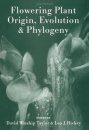 Flowering Plant Origin Evolution and Phylogeny