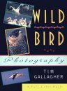 Wild Bird Photography