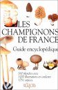 Les Champignons de France