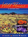 Beautiful Wild Flowers of South Africa