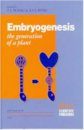 Embryogenesis: The Generation of a Plant