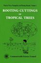 Rooting Cuttings of Tropical Trees
