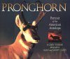 Pronghorn: Portrait of the American Antelope