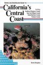 Diving and Snorkeling Guide to California's Central Coast