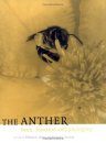The Anther