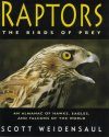 Raptors: The Birds of Prey