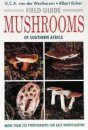 Field Guide to the Mushrooms of Southern Africa