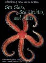 Sea Stars, Sea Urchins, and Allies